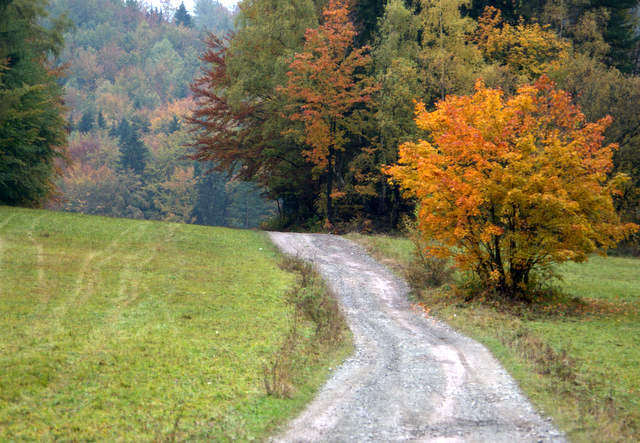 Góry sowie jesień