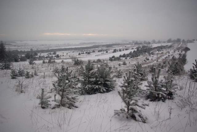 Rzędkowice, widok na pola 