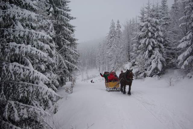 Kulig, śnieżne sanie